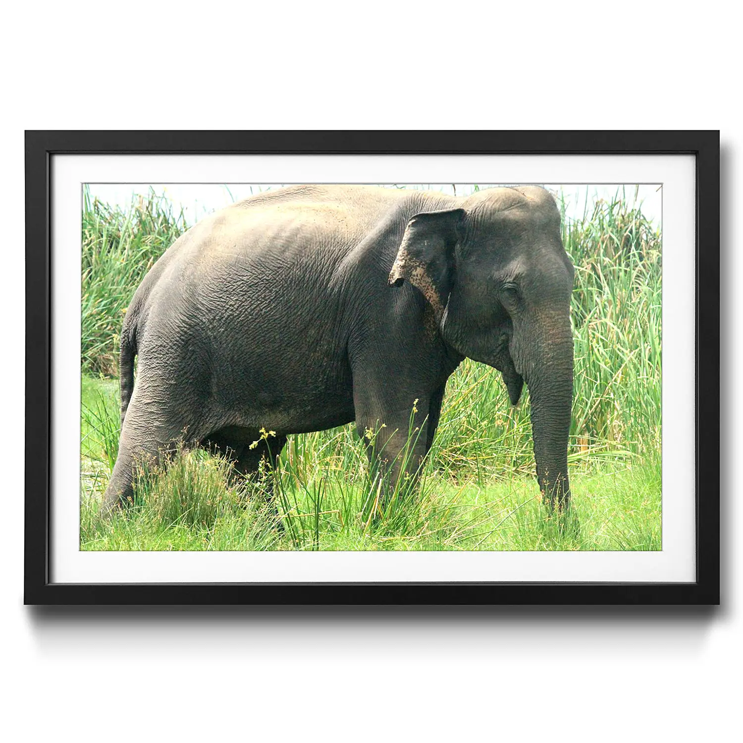 Gerahmtes Old Bild Elephant