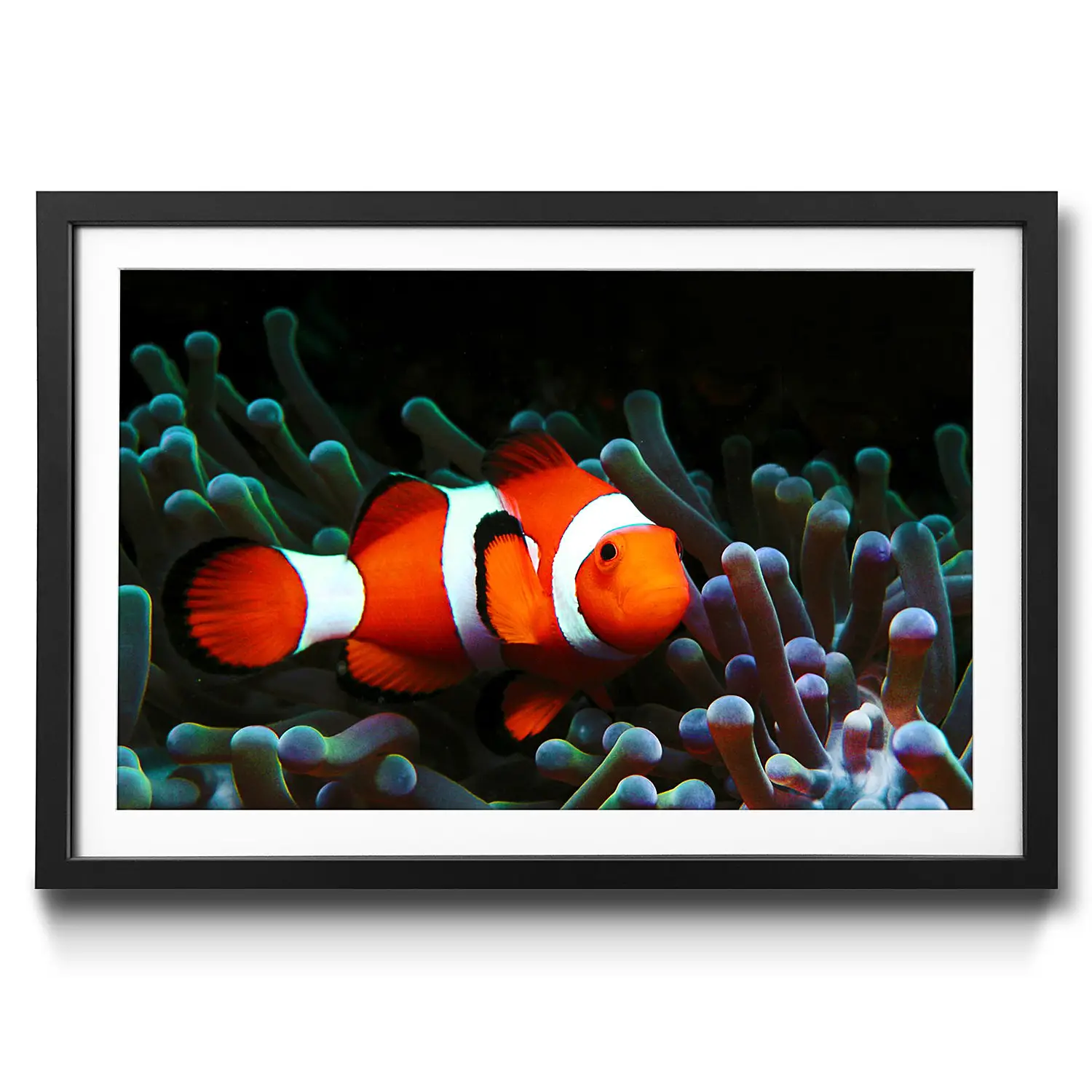 Gerahmtes Bild Nemo