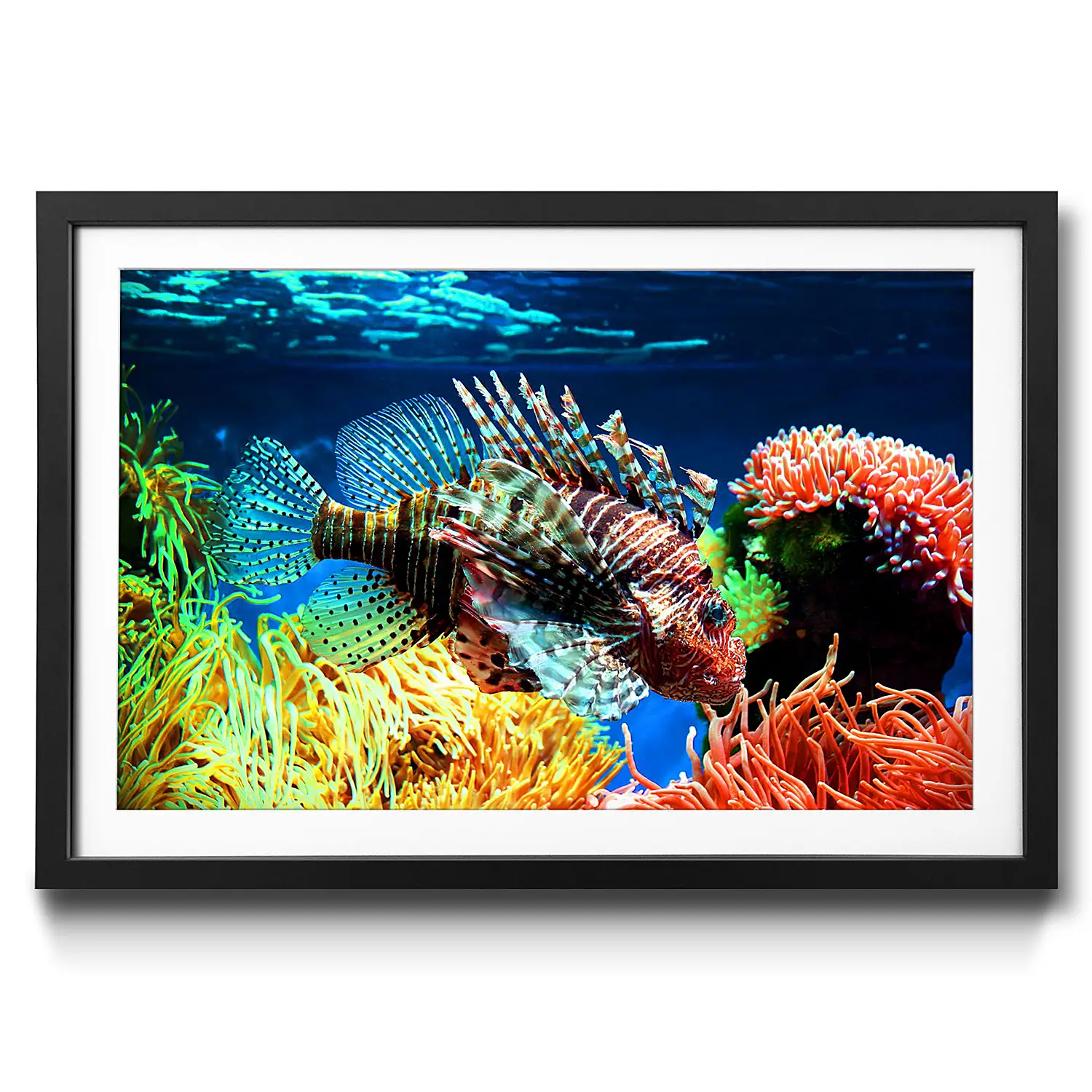 Gerahmtes Bild Lovely Reef