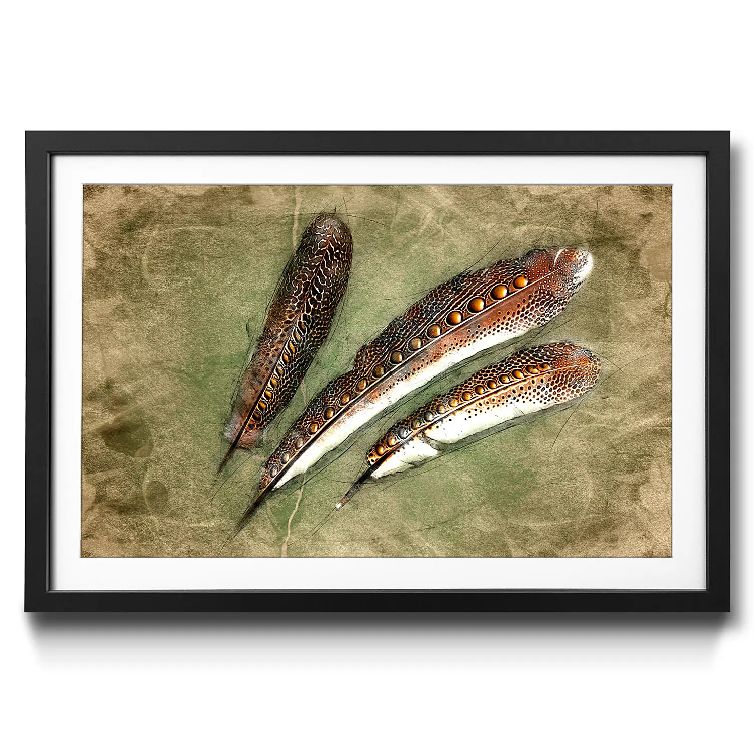 Gerahmtes of Pheasant Feather Bild