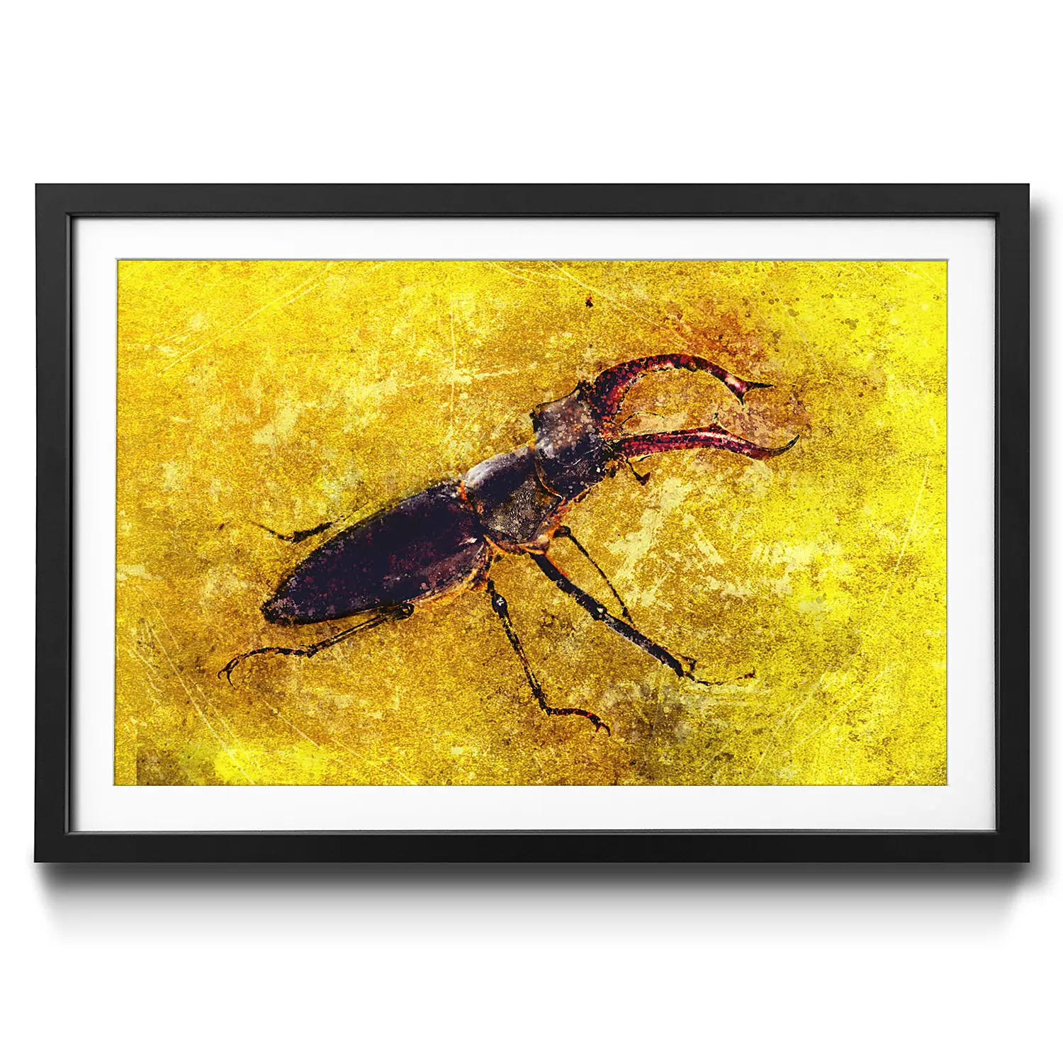 Stag Beetle Bild Gerahmtes