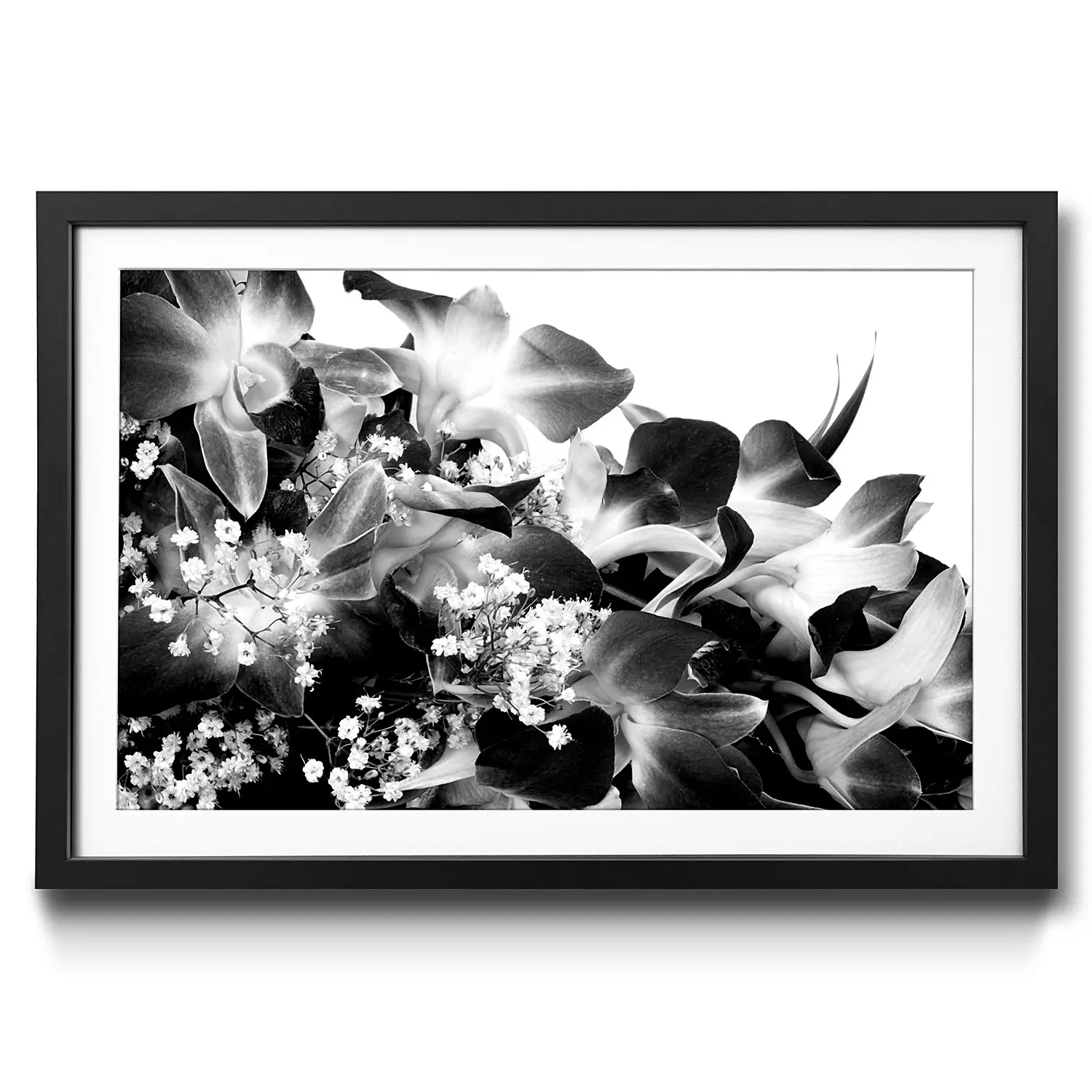 Blossoms Bild Gerahmtes Orchid