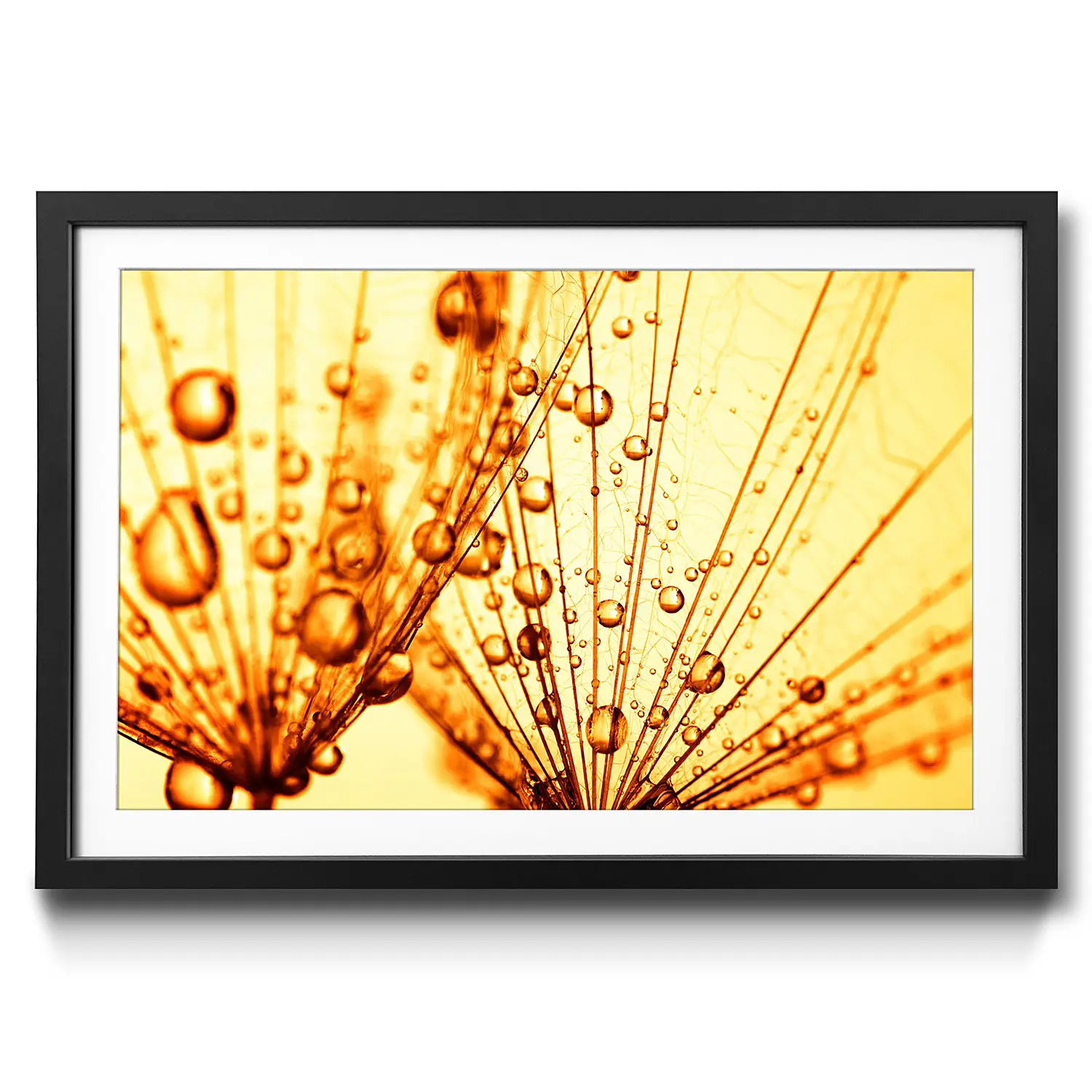 Gerahmtes Bild Dandelion Seed