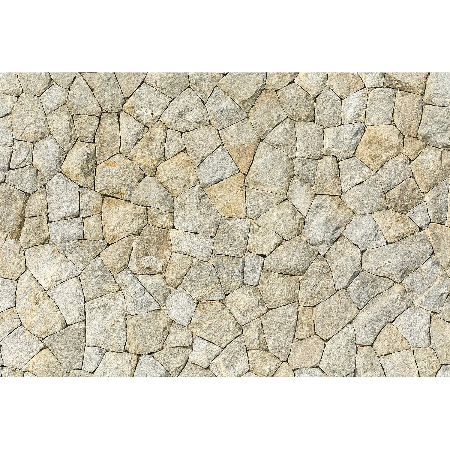 Wall Stone Fototapete Natural