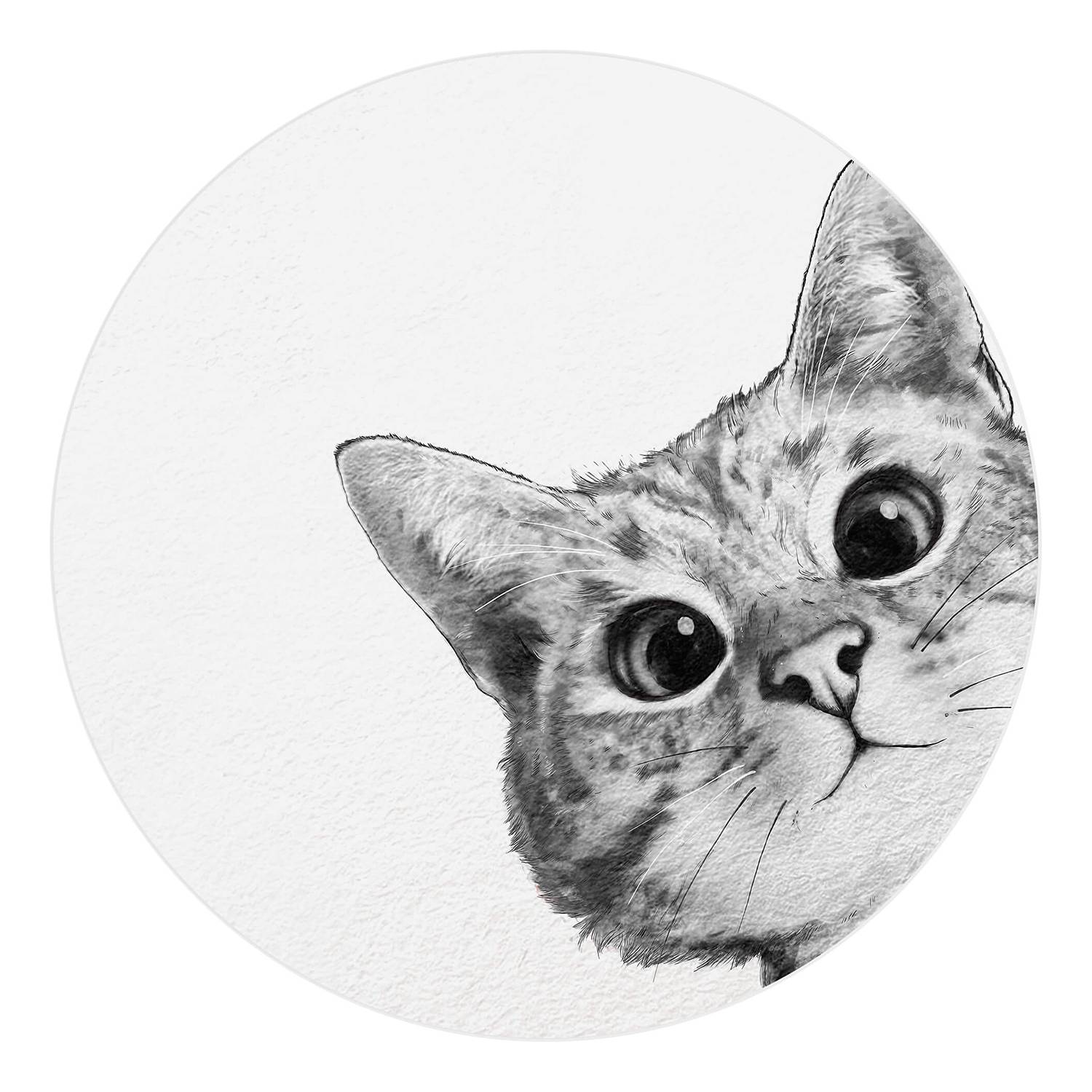Papier peint Sneaky Cat | Je commande ! | home24