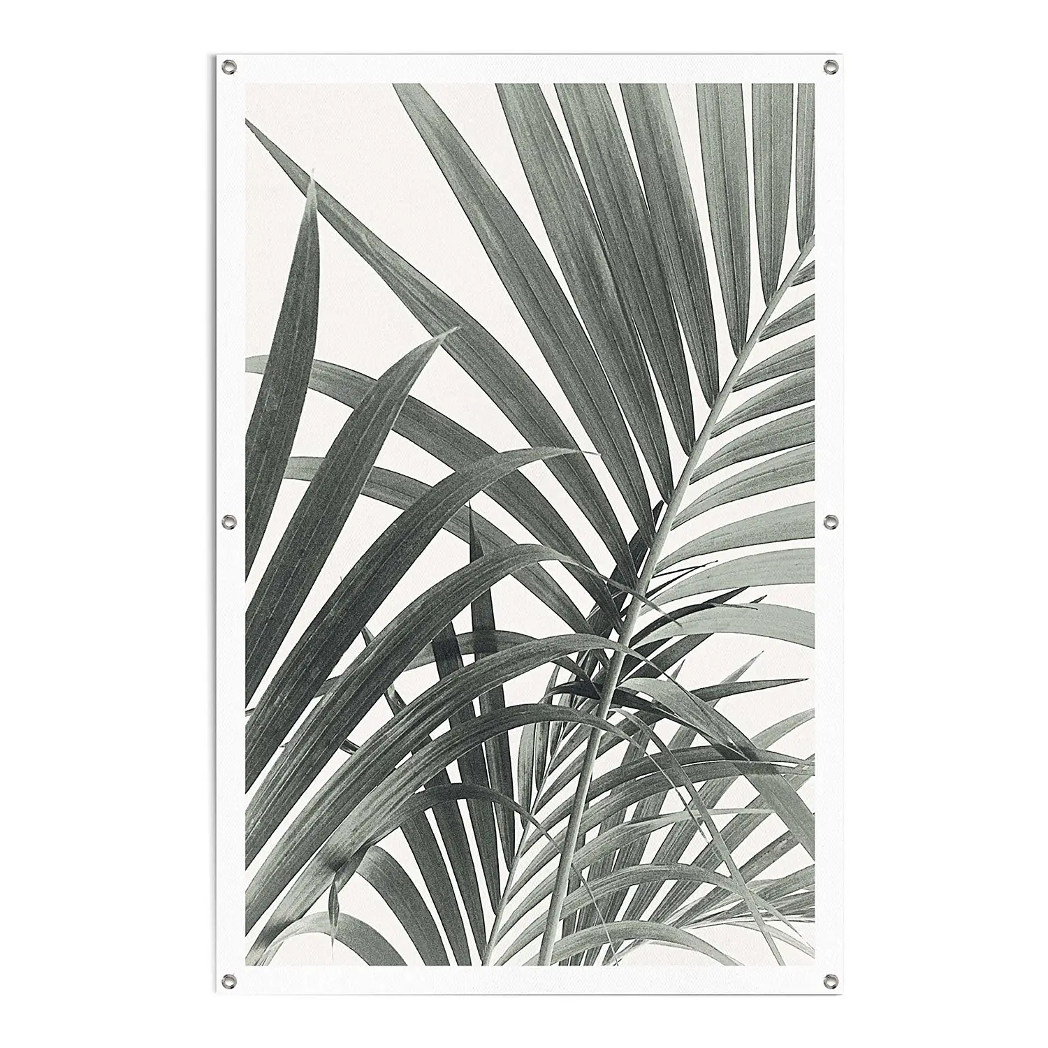 Palmbl盲tter Outdoor-Poster