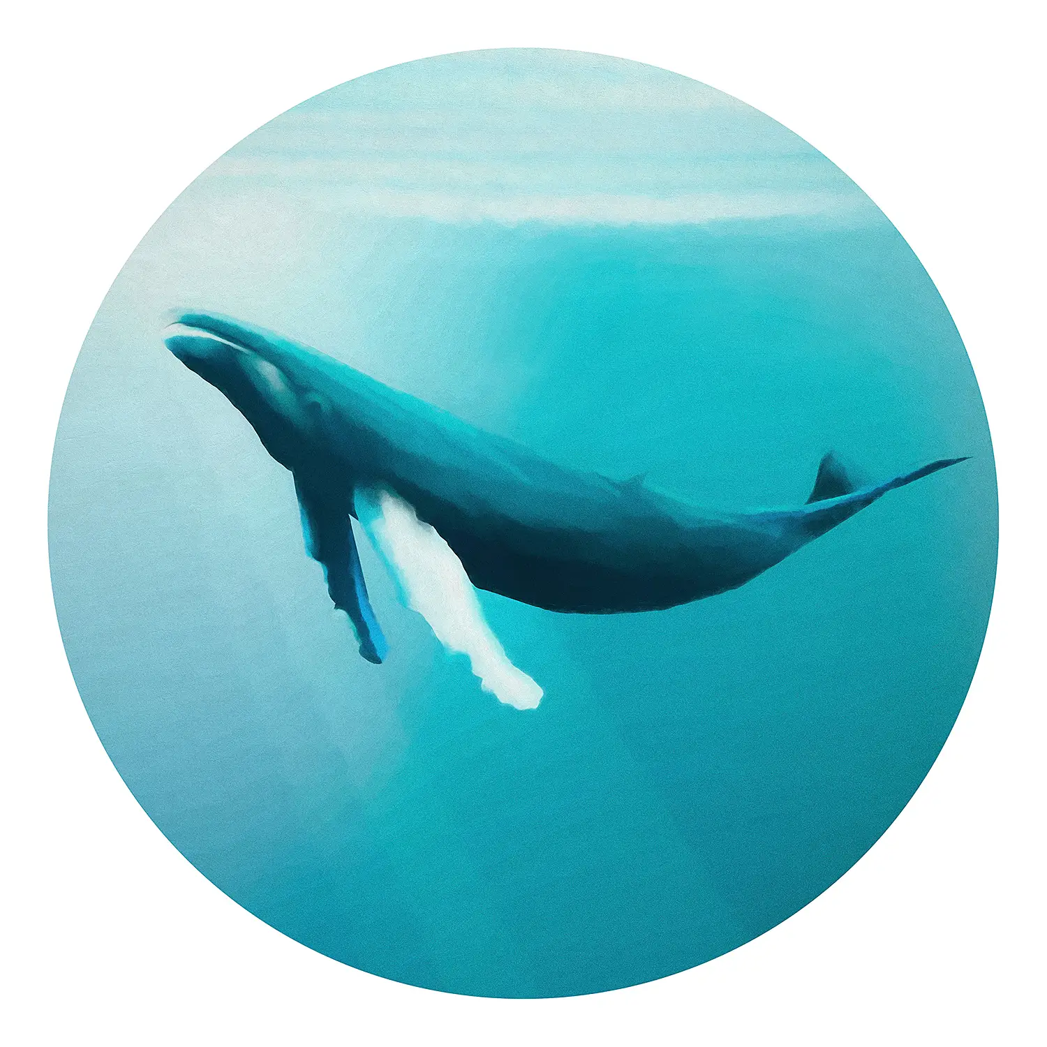 Vlies Fototapete Whale Watching | Bilder
