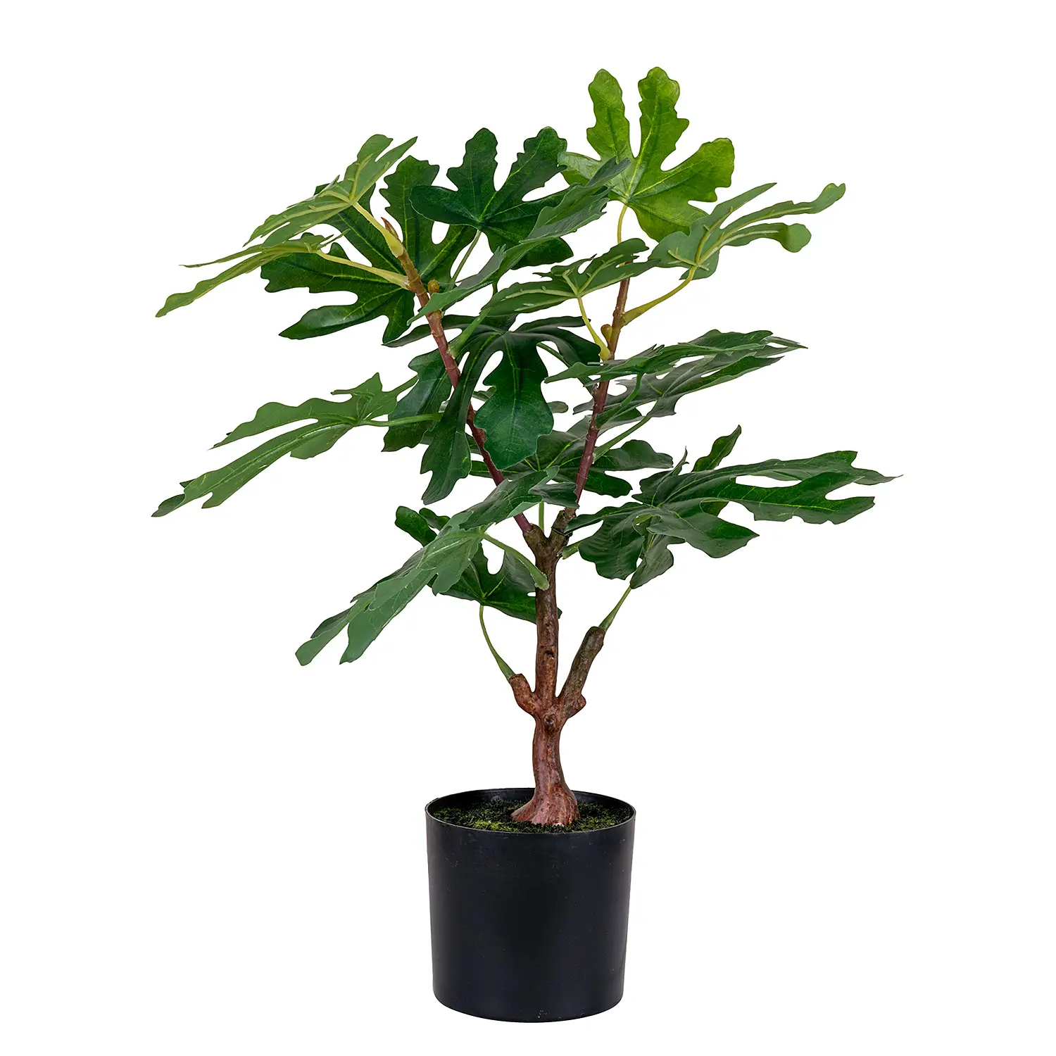 Fig Tree Kunstpflanze
