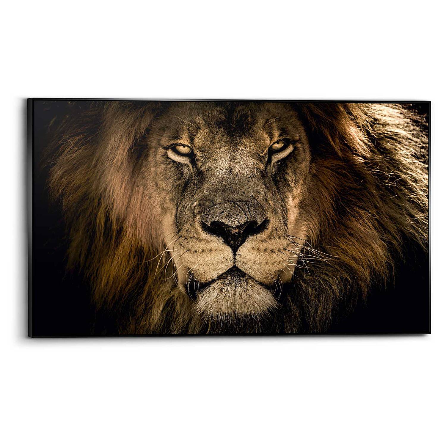 Wandbild Löwe kaufen | home24