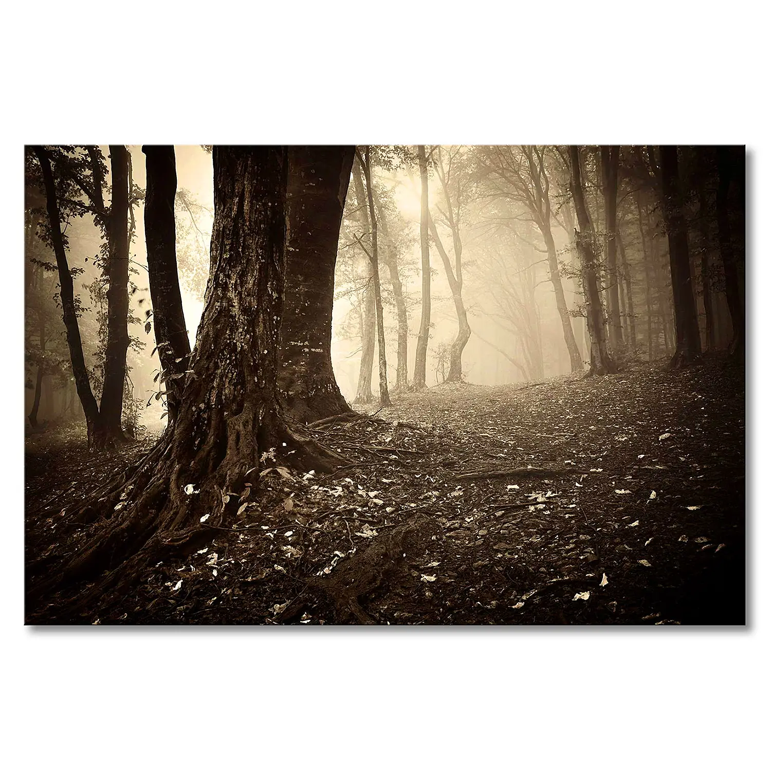 Enchanted Forest Leinwandbild
