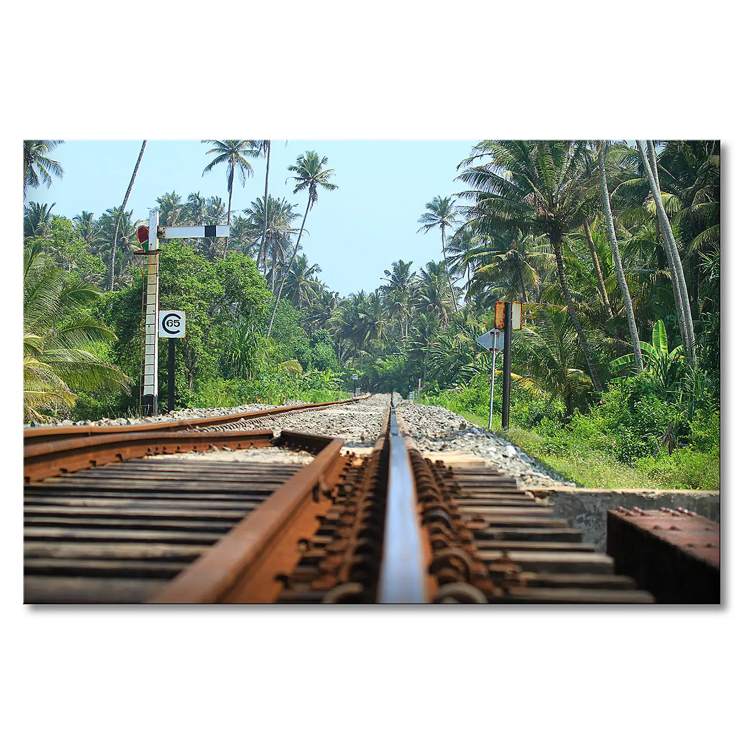 Srilankan Leinwandbild Rails