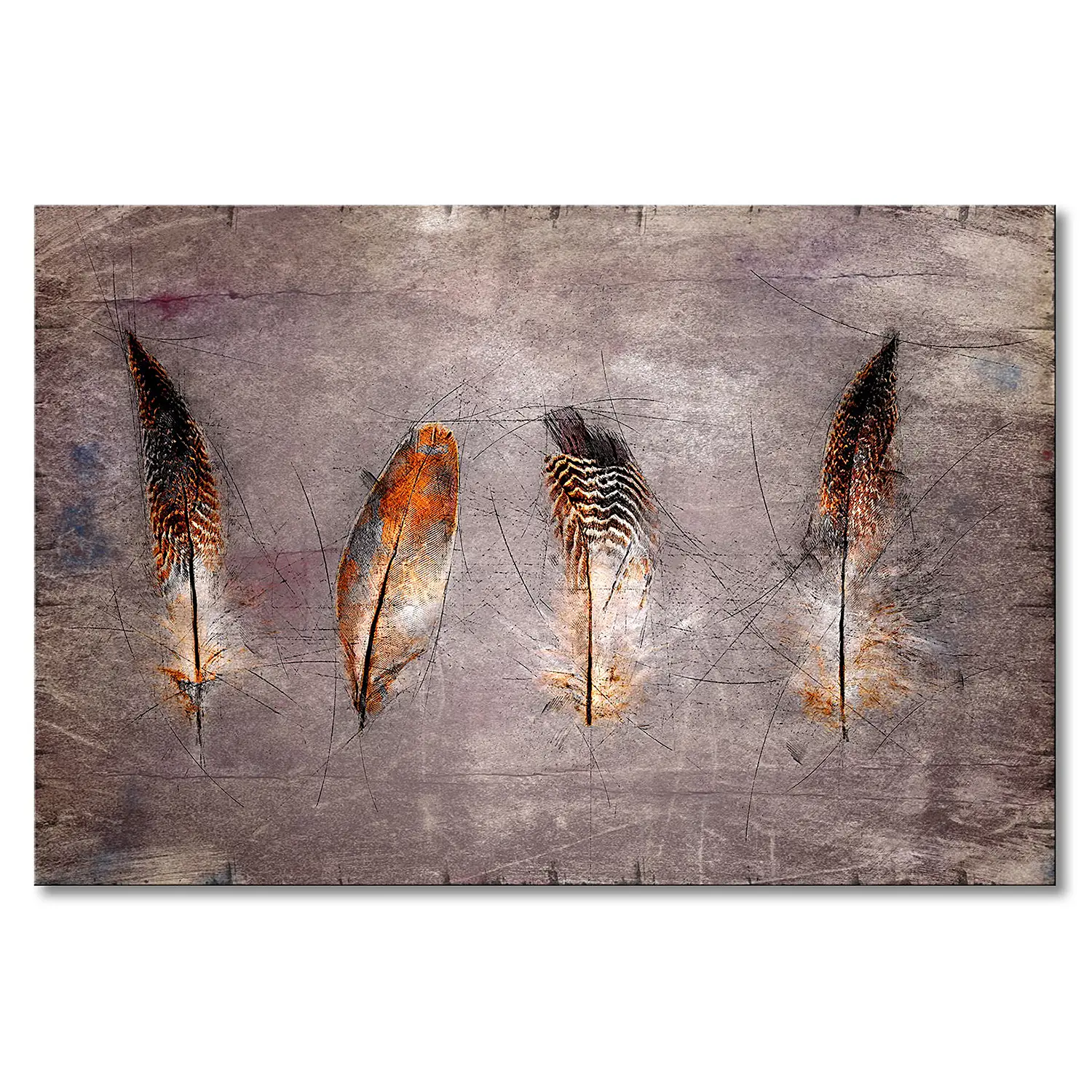 Four Feathers Leinwandbild