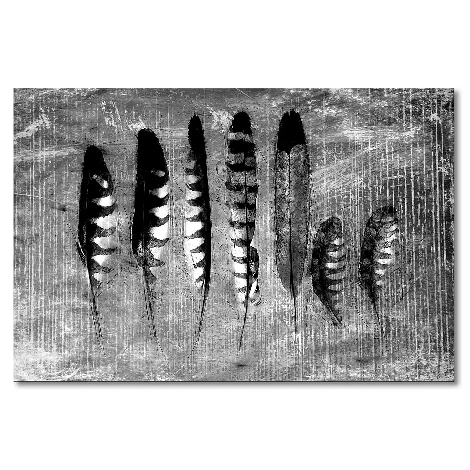 Leinwandbild Monochrome Feathers