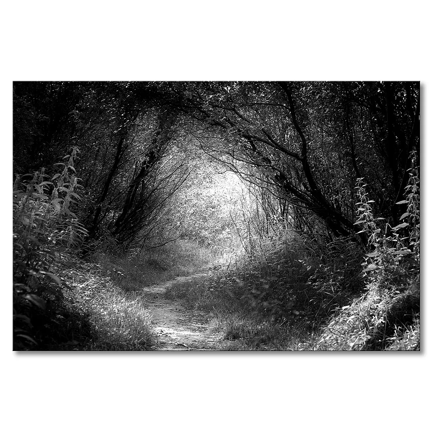 Leinwandbild Way Forest In Deep