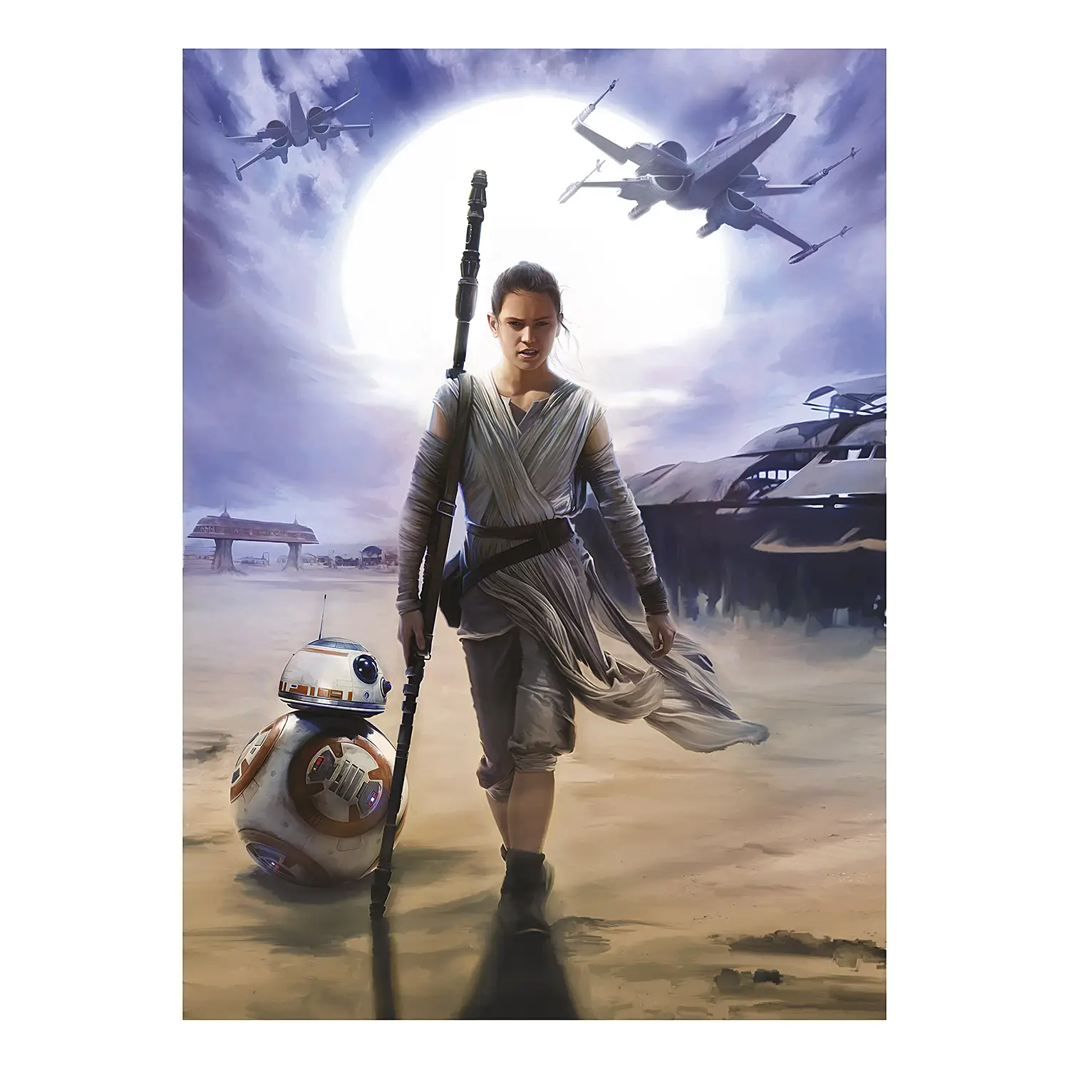 Verkaufsanzeige Fototapete Star Wars Rey