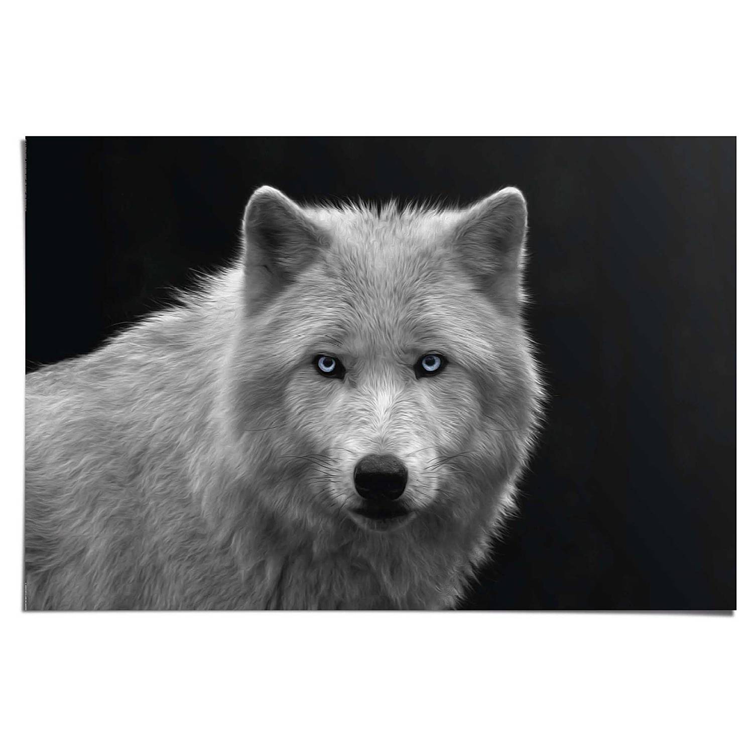 Bristol Novelty Wolfsmaske Aus EVA-Material, Weiß – Einheitsgröße Für Halloween & Mottopartys
