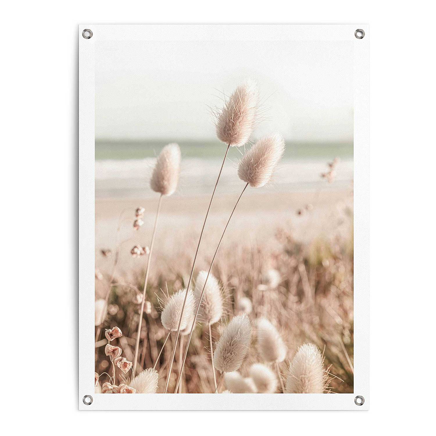 Outdoor-Poster Gräser kaufen | home24