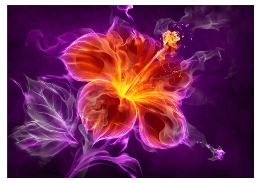 Fototapete Fiery flower in purple