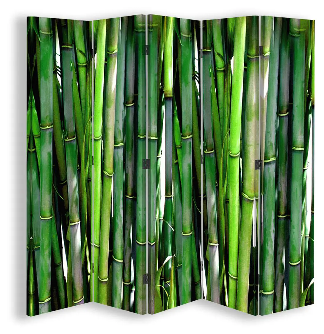 Bamboo Paravent
