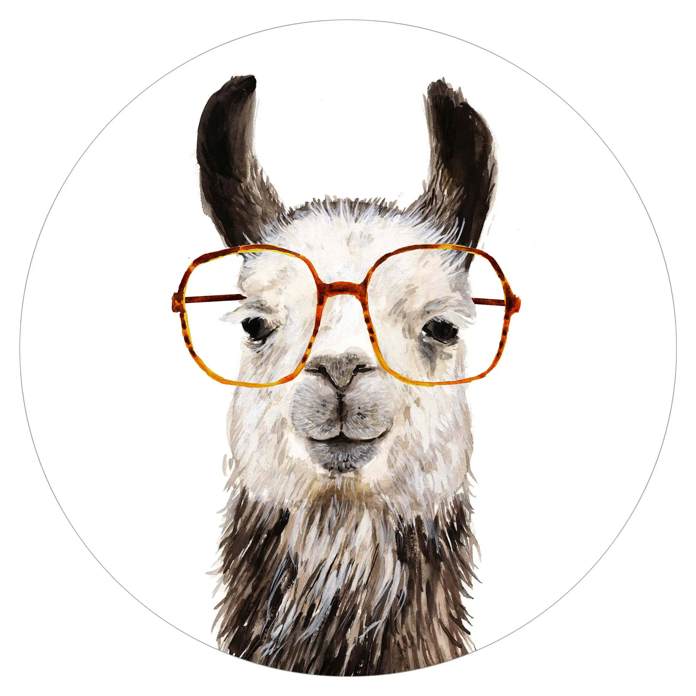 Hippes Lama mit Brille IV