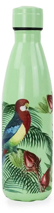 Isolierflasche 500 ml Papagei