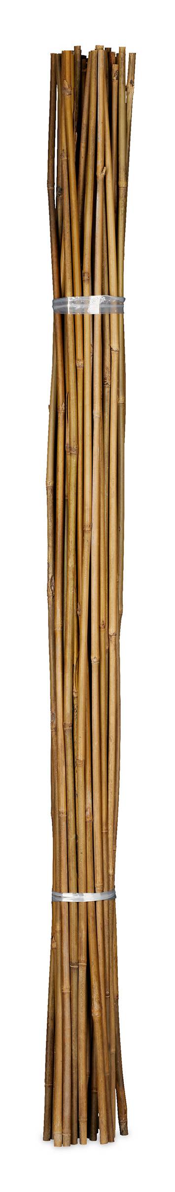 Bambus Pflanzstäbe 120 cm 40er Set kaufen home24