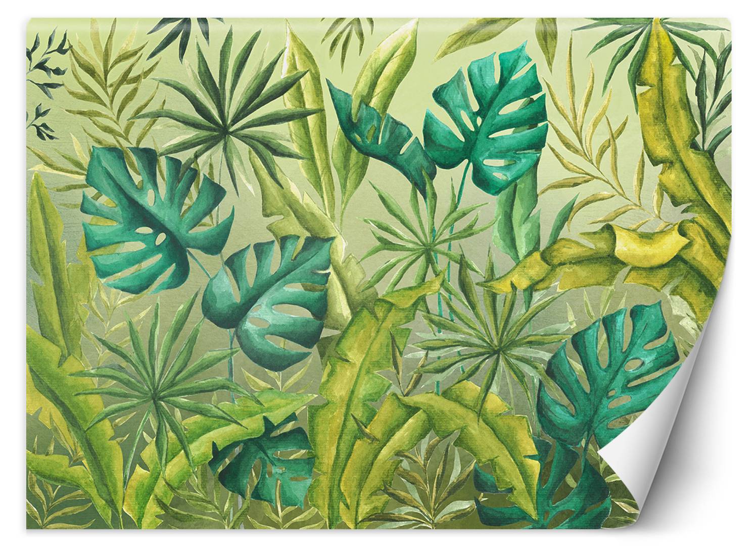 philodendron burle marx kaufen Philodendron Burle Marx, Climbing Plant Vine