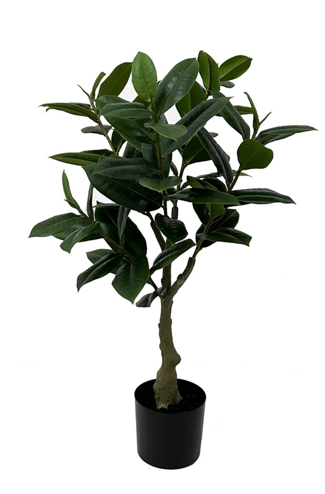 Kunstpflanze Rubber Tree kaufen home24