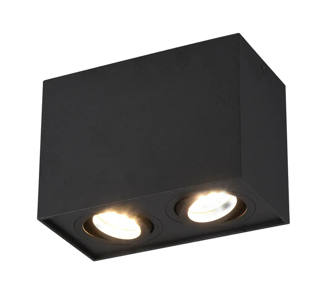 LED Deckenlampe Aufbauspots 2 flammig | Deckenleuchten