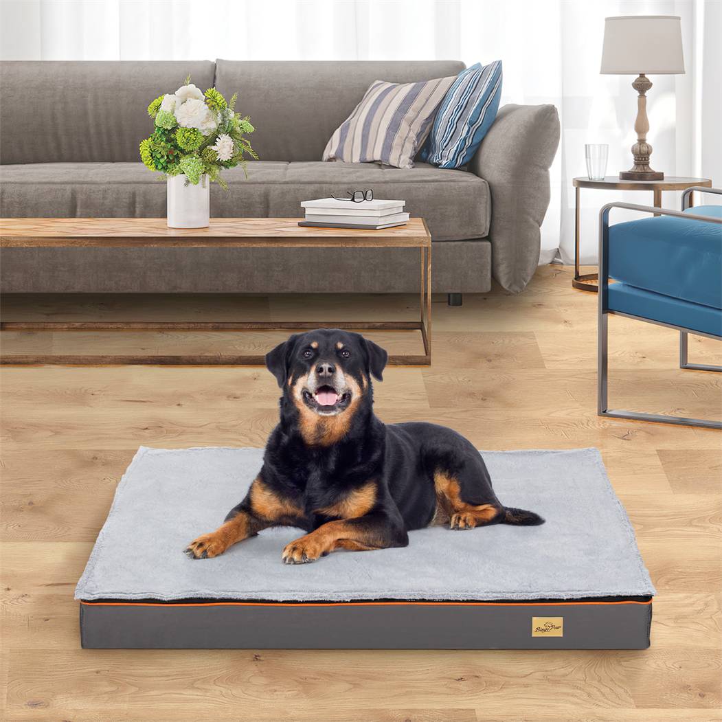 Orthopädisches Hundebett Aus Memory-Schaum – 100x60x10 Cm, Waschbar, Für Mittelgroße Hunde