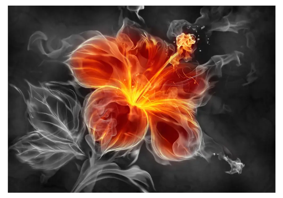 Fototapete inside smoke the Fiery flower