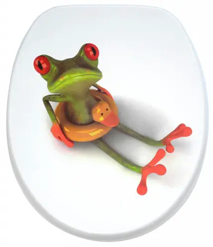 Froggy mit Absenkautomatik WC-Sitz