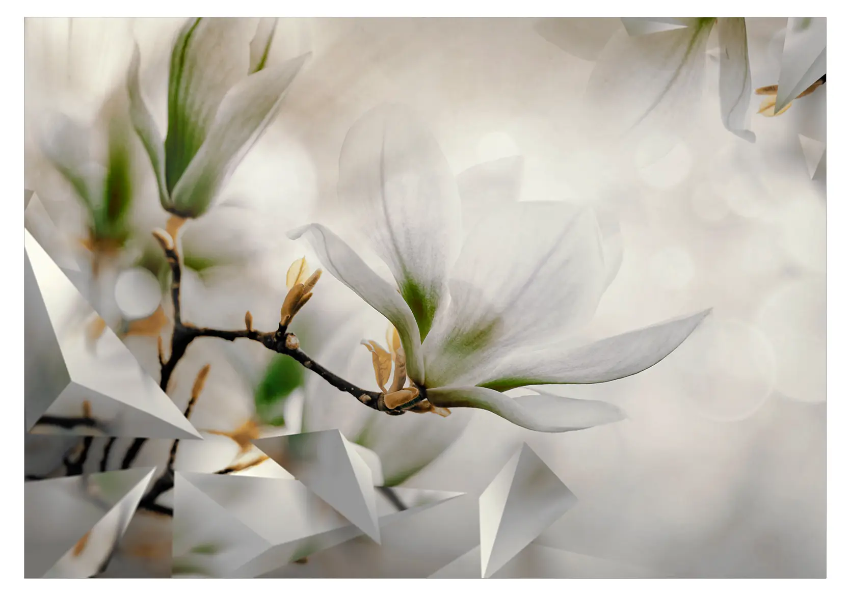 Fototapete Subtle Magnolias | Tapeten
