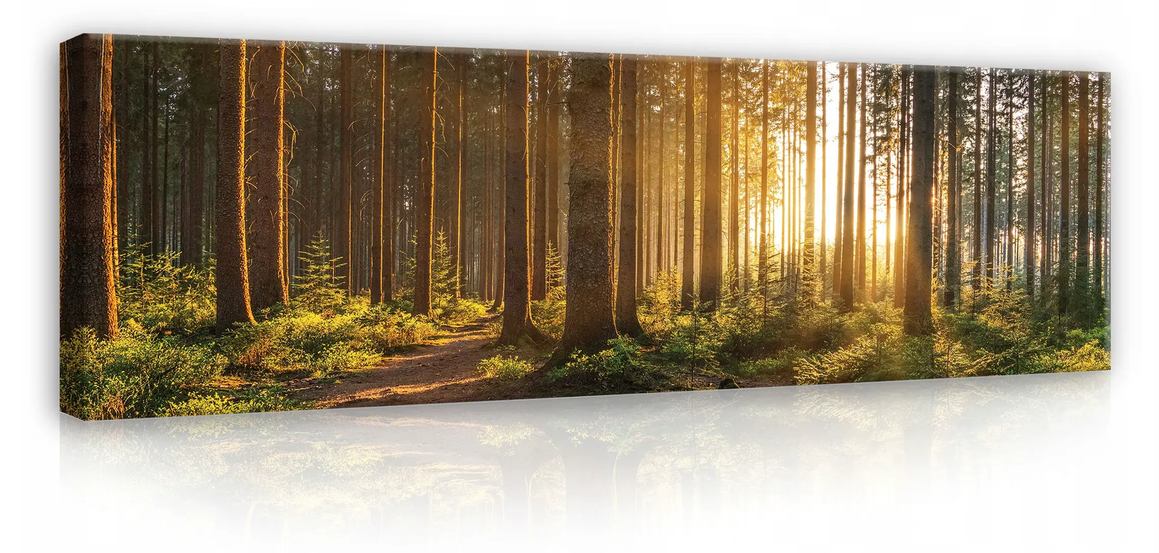Wald Natur Leinwandbild Panorama Sonne