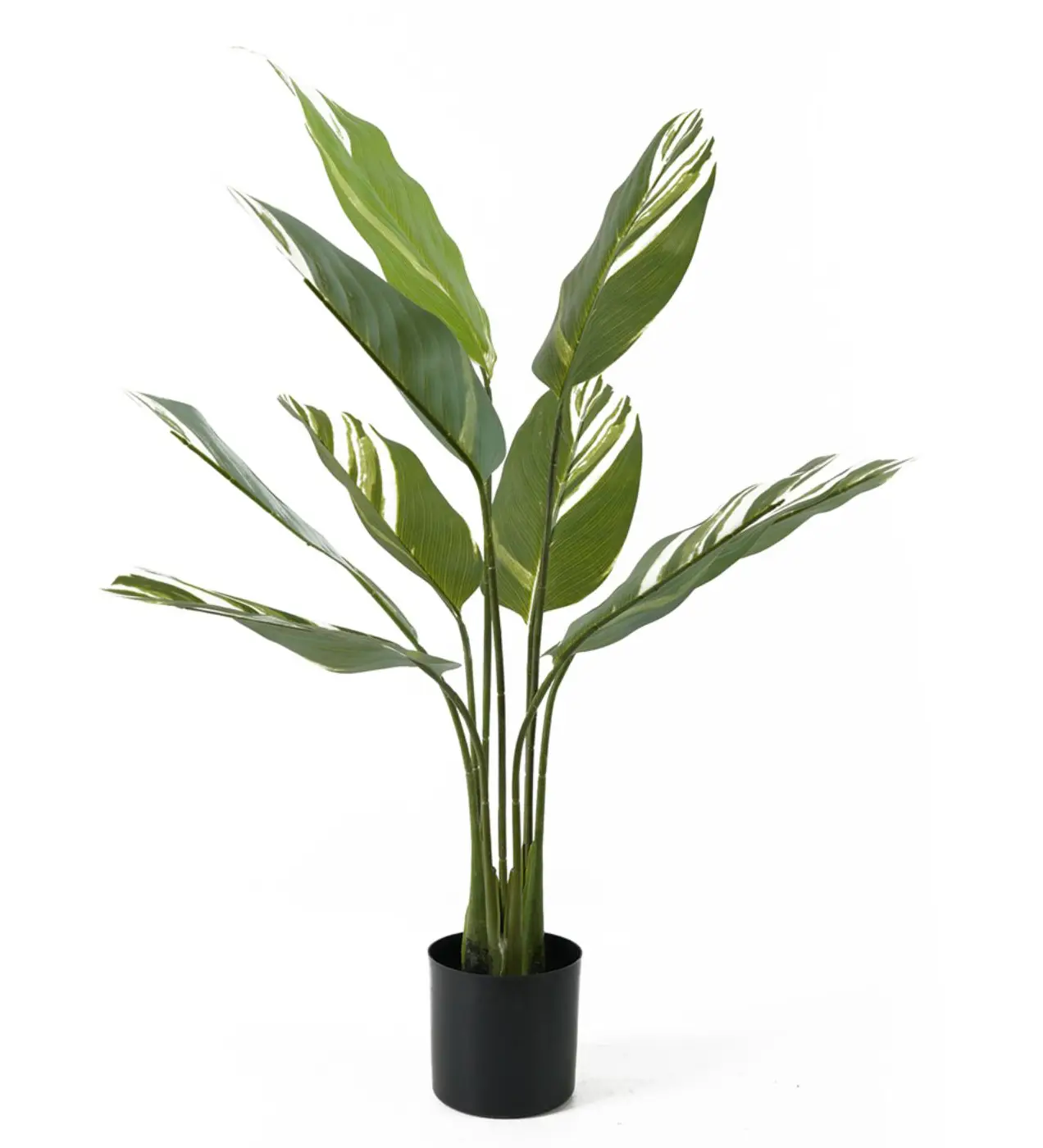 Kunstpflanze Calathea | Kunstpflanzen