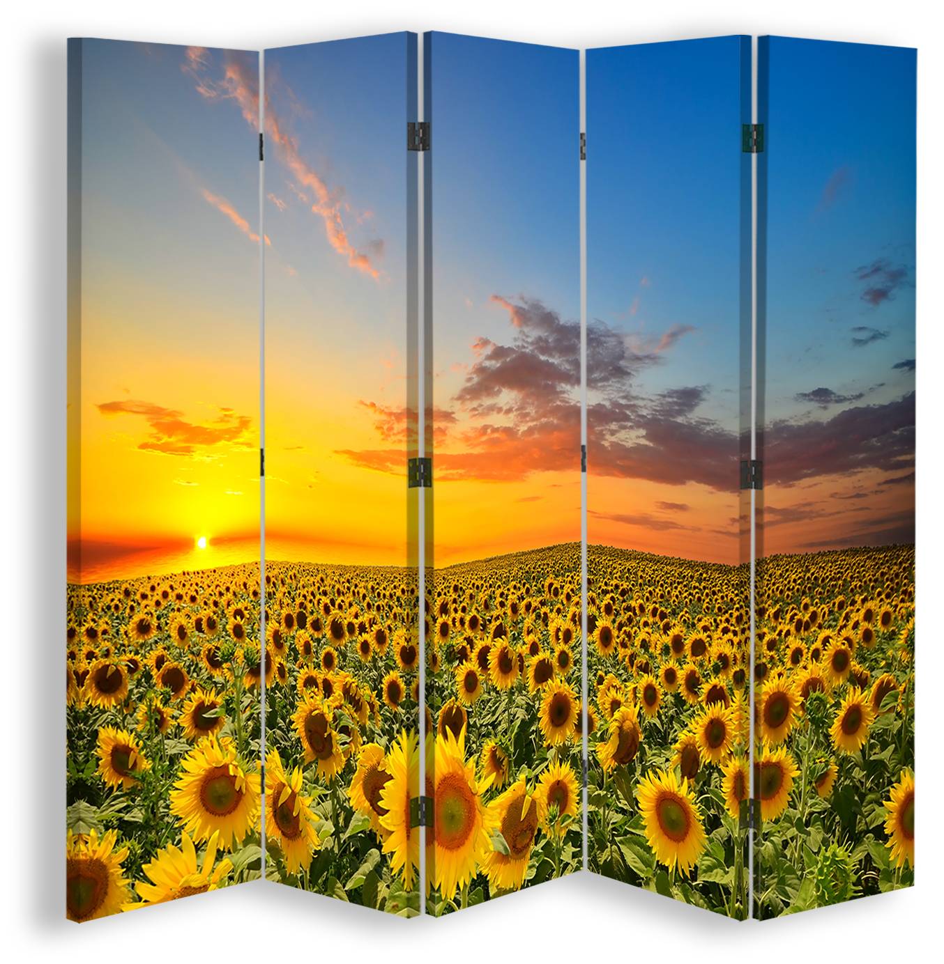 Sunflower Sunset kaufen | home24