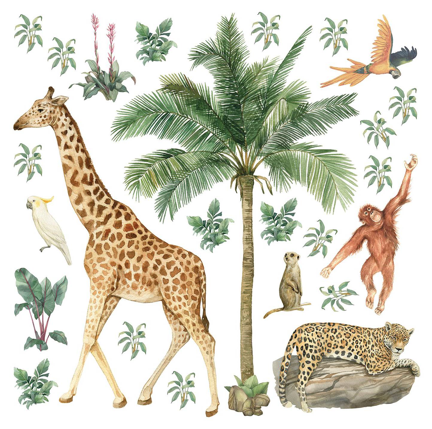 Avenir Kratzbilder Angelspiel - Kreativset Für Kinder Ab 3 Jahren Mit Dschungeltieren