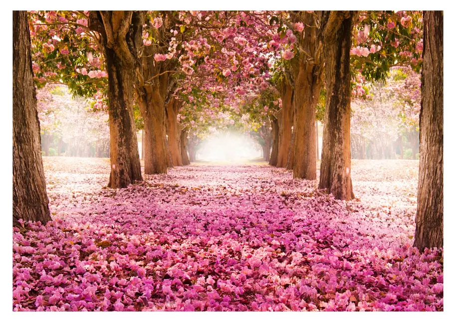 Pink grove Selbstklebende Fototapete