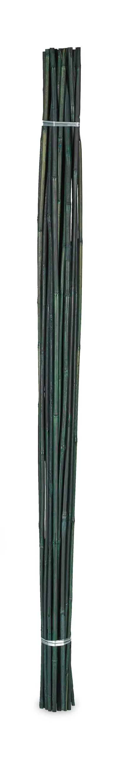 Bambus Pflanzst盲be 25er Set 150 cm