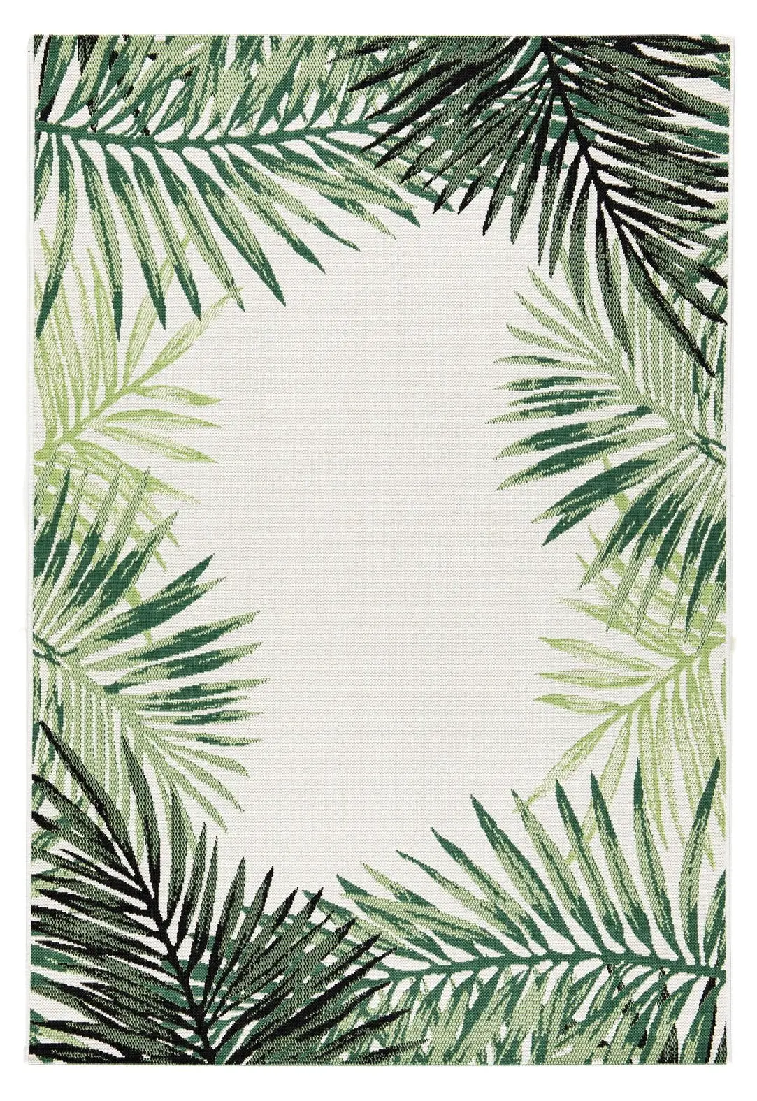 Cycas Wohnteppich Palm