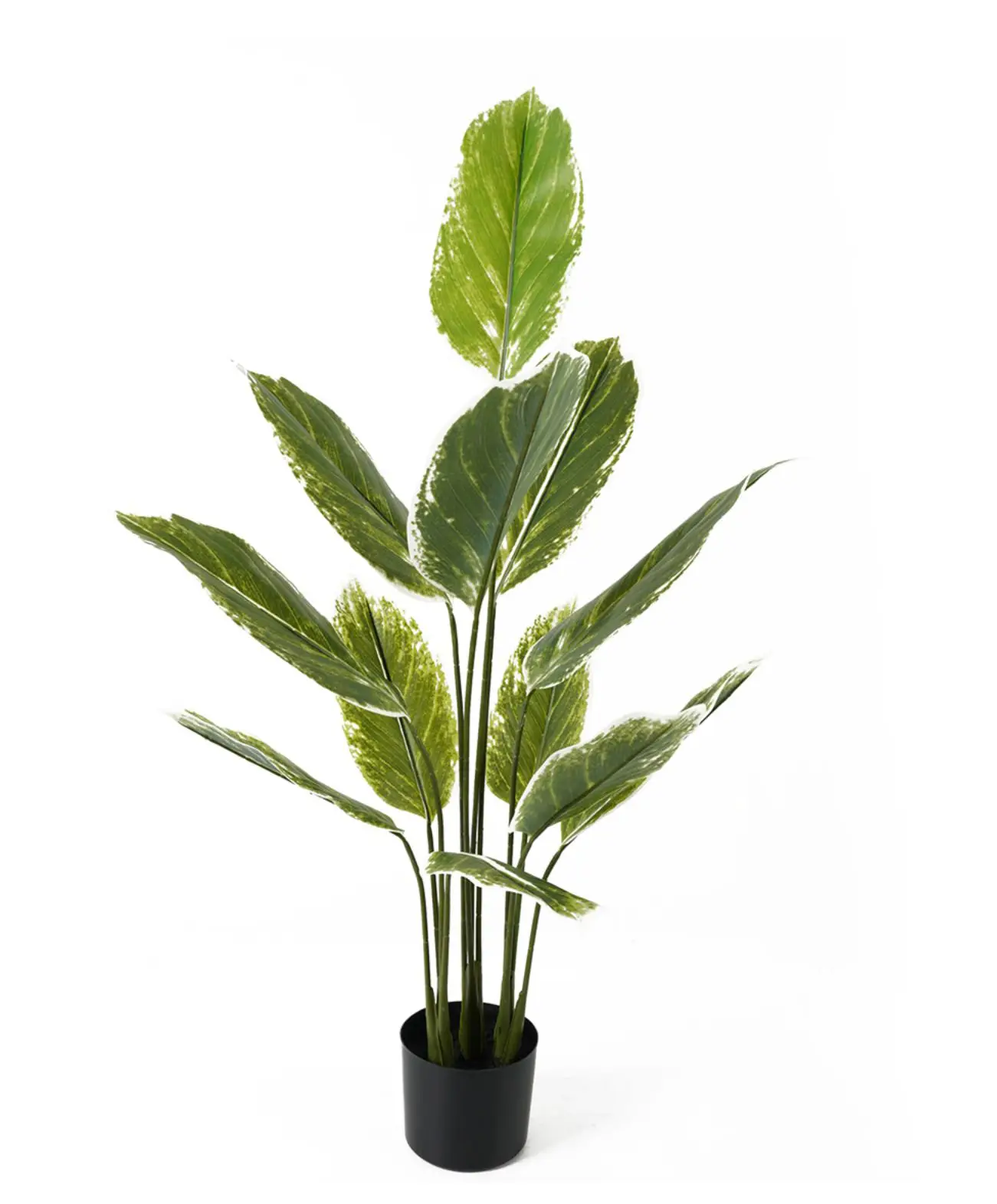 Kunstpflanze Calathea Large