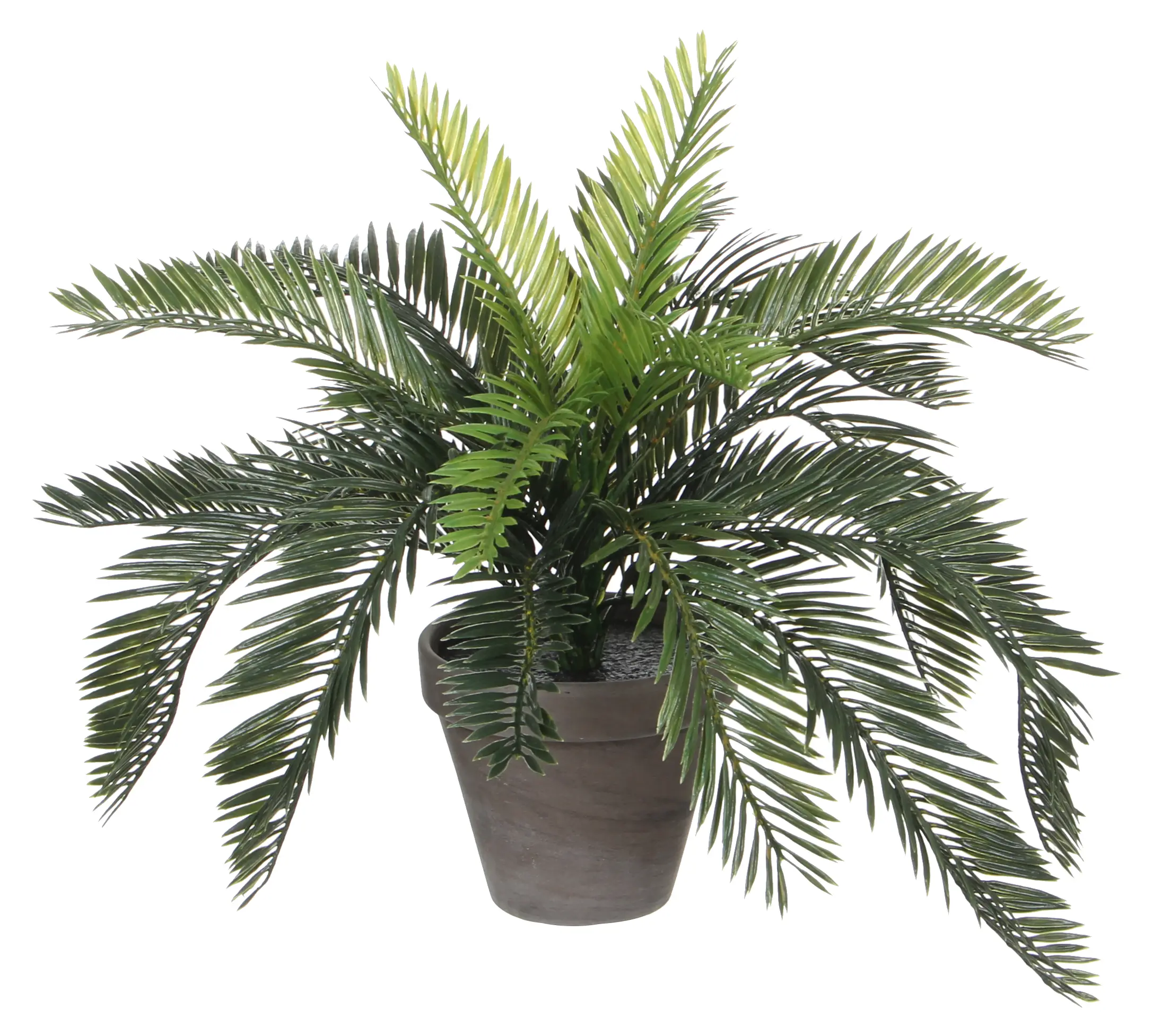 Cycas-Palme Kunstpflanze
