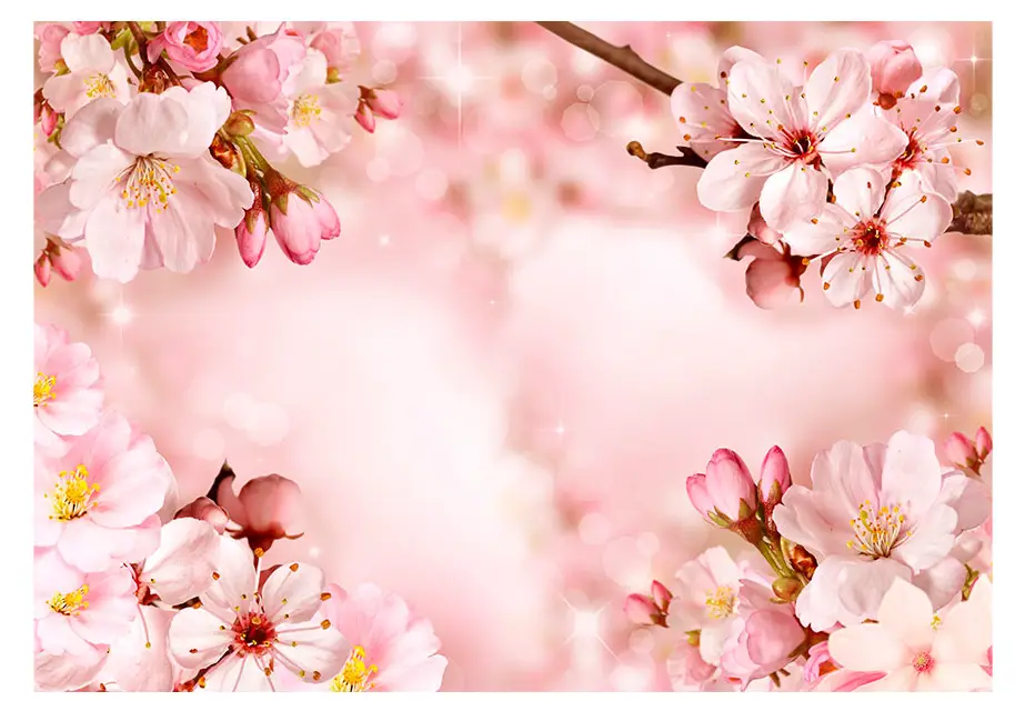 Fototapete Magical Blossom Cherry