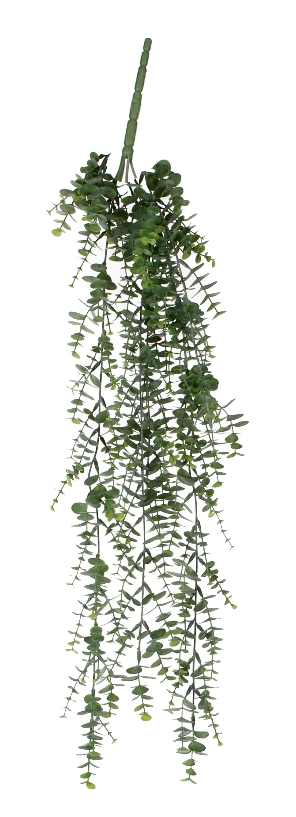 Eukalyptus H盲ngepflanze K眉nstliche