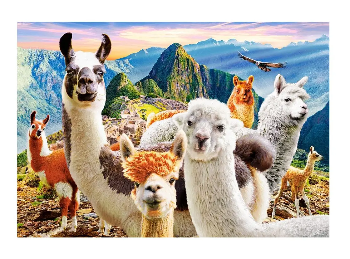 Selfie Puzzle Lamas