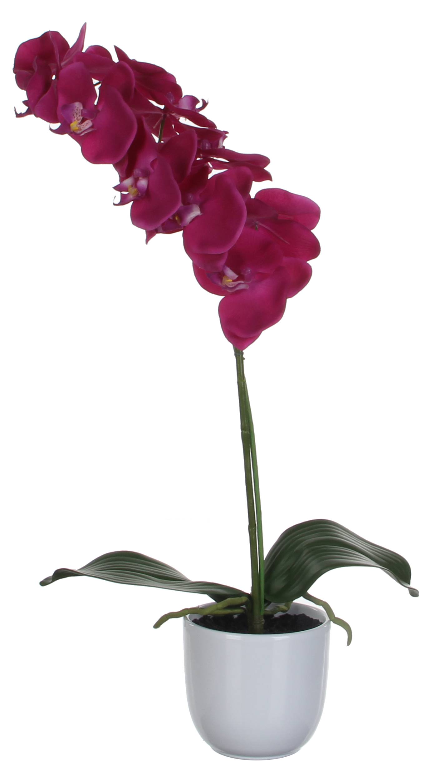Kunstpflanze Phalaenopsis home24 | kaufen