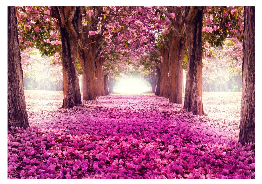 Selbstklebende path Pink Fototapete