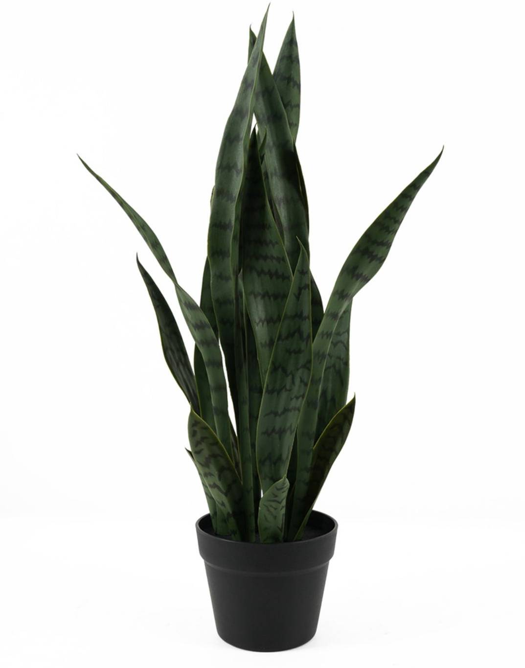 Kunstpflanze - Sansevieria Cylindrica - Frauenzunge - 70 cm