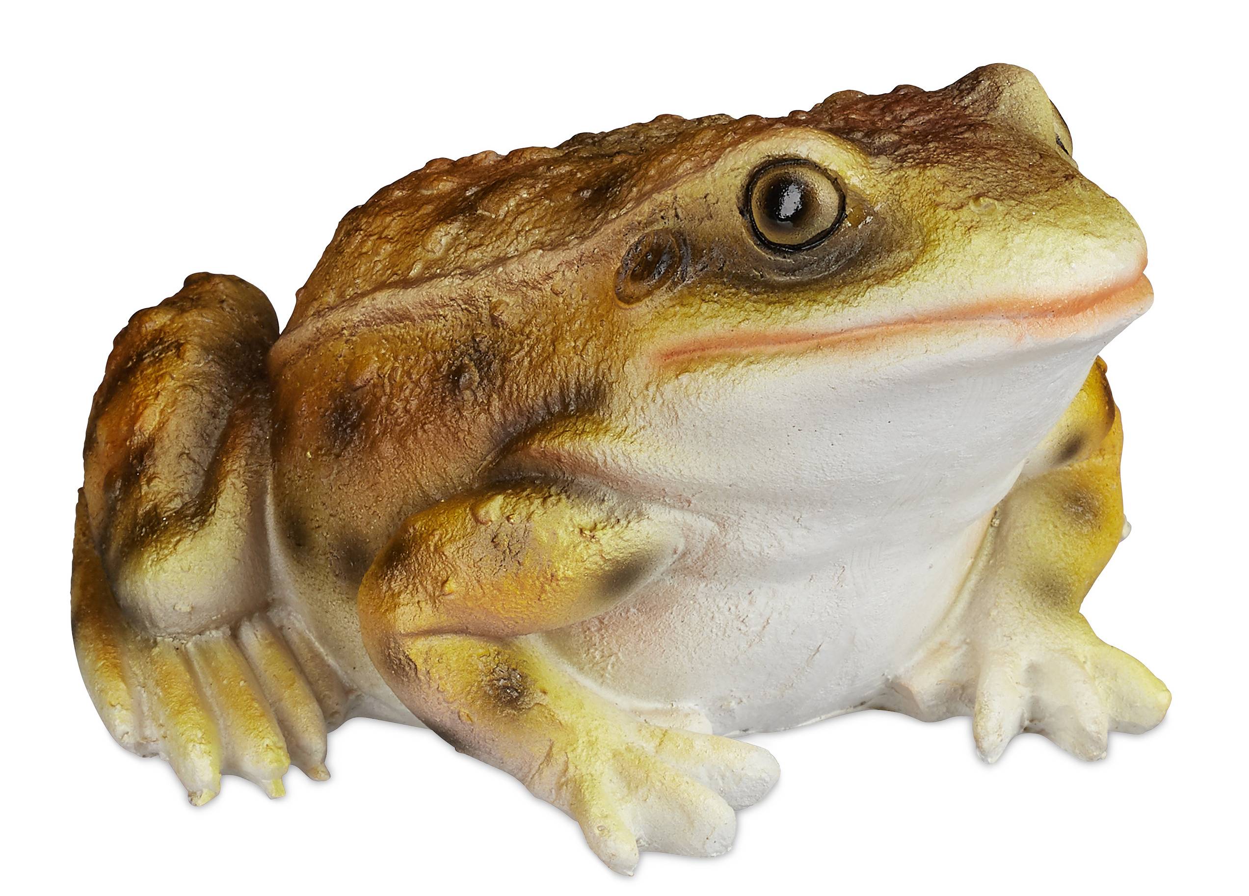 Statue de jardin Crapaud | Je commande ! | home24