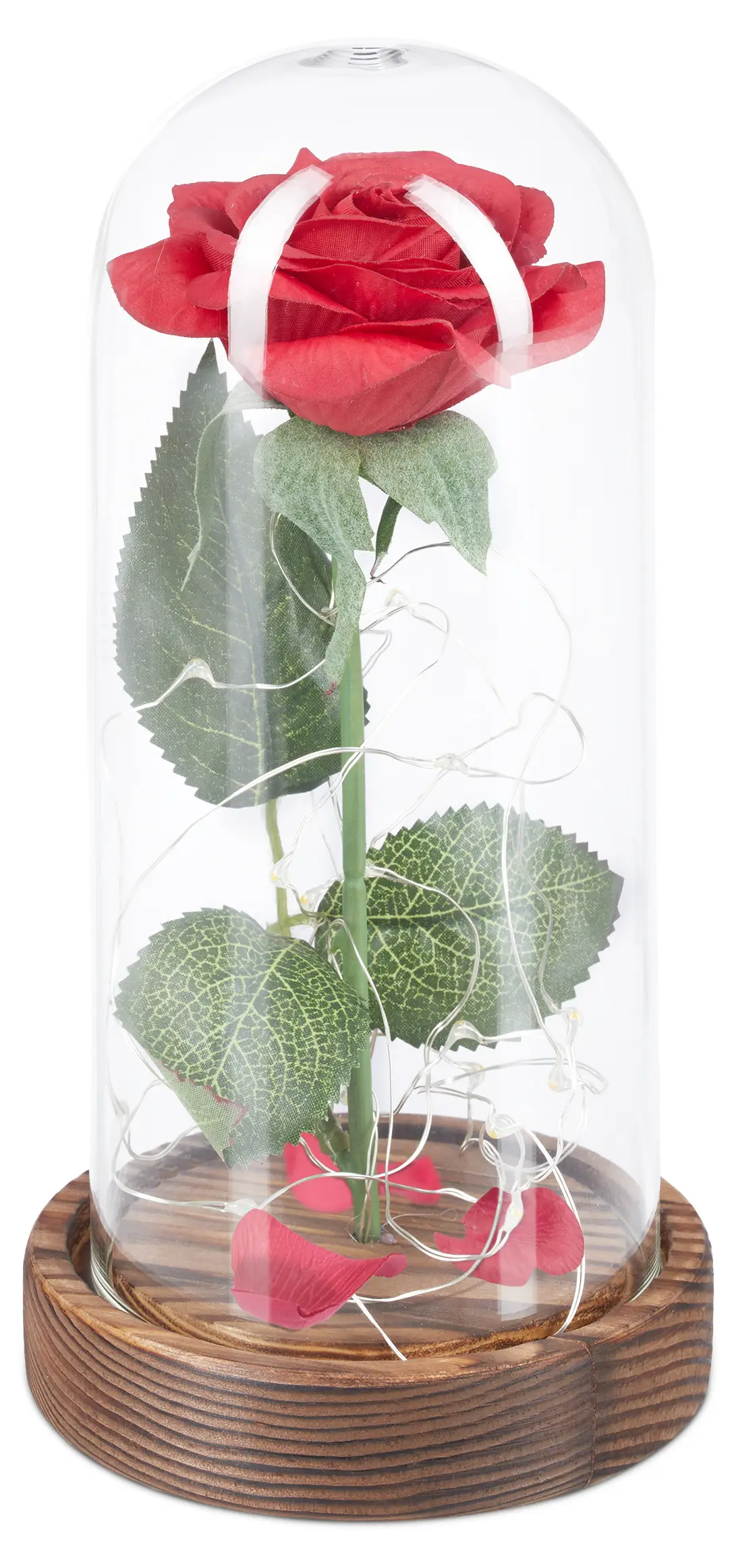 Ewige Rose im Glas mit Licht | Kunstpflanzen